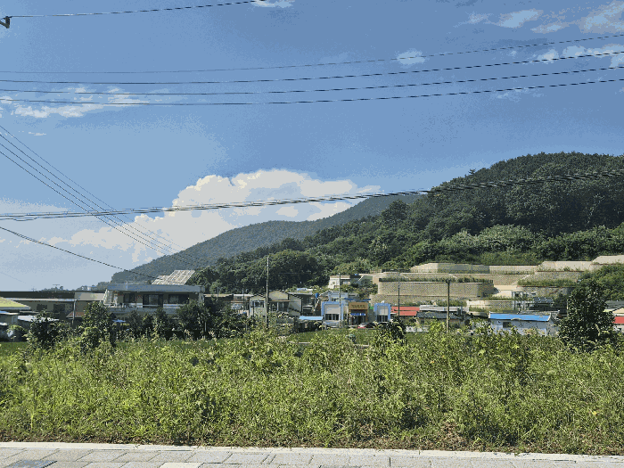 경상남도 사천시 실안동 401 외 7필지 전 경매 사진 4