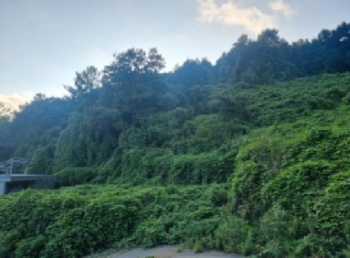 전라남도 순천시 상사면 흘산리 739 외 2필지 전 경매 사진 2
