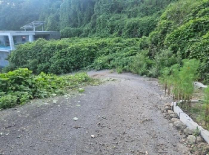 전라남도 순천시 상사면 흘산리 739 외 2필지 전 경매 사진 3