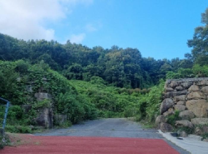 전라남도 순천시 상사면 흘산리 739 외 2필지 전 경매 사진 4