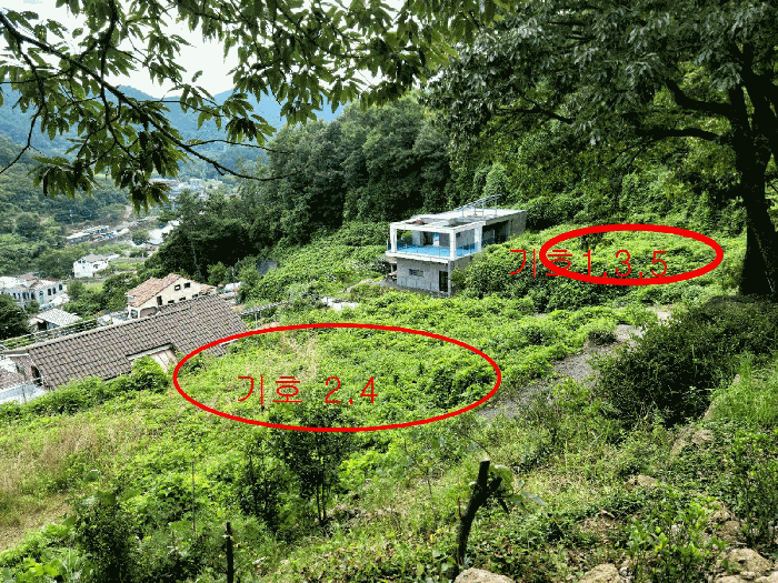 전라남도 순천시 상사면 흘산리 739 외 2필지 전 경매 사진 5