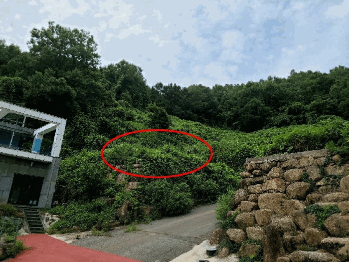 전라남도 순천시 상사면 흘산리 739 외 2필지 전 경매 사진 6