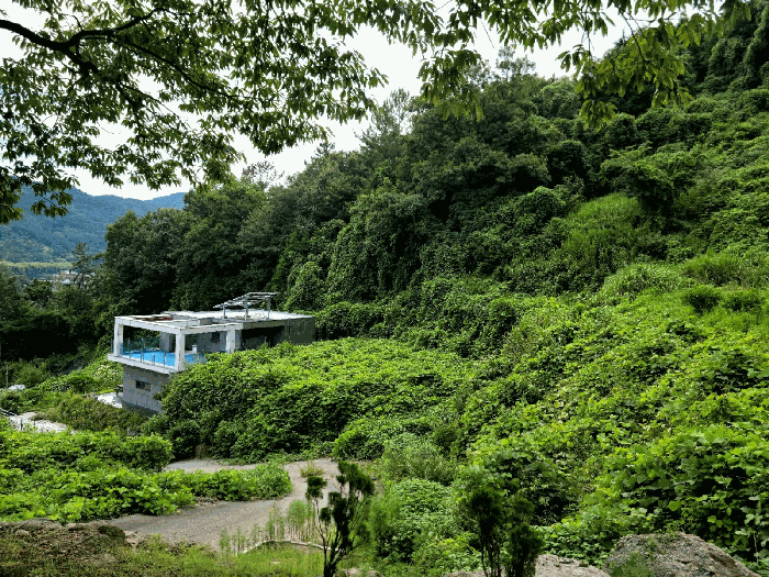 전라남도 순천시 상사면 흘산리 739 외 2필지 전 경매 사진 8