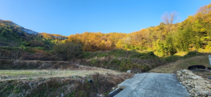 경상북도 김천시 감문면 금곡리 951 외 3필지 전 경매 사진 1
