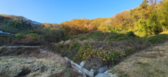 경상북도 김천시 감문면 금곡리 951 외 3필지 전 경매 사진 3