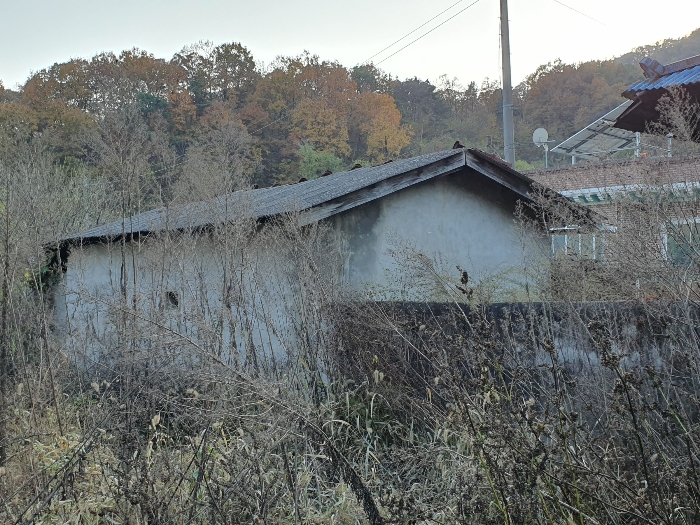 경상북도 김천시 감문면 금곡리 951 외 3필지 전 경매 사진 22