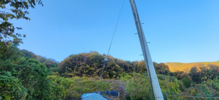 경상북도 김천시 감문면 금곡리 951 외 3필지 전 경매 사진 4