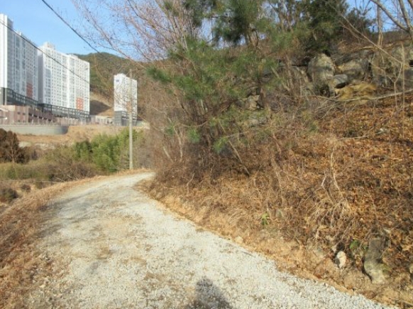 경상남도 거제시 연초면 한내리 산111-3 외 3필지 임야 경매 사진 1