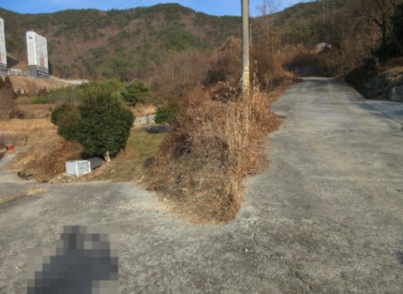 경상남도 거제시 연초면 한내리 산111-3 외 3필지 임야 경매 사진 11