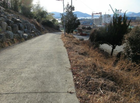 경상남도 거제시 연초면 한내리 산111-3 외 3필지 임야 경매 사진 12