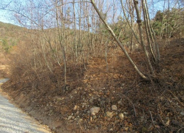 경상남도 거제시 연초면 한내리 산111-3 외 3필지 임야 경매 사진 5