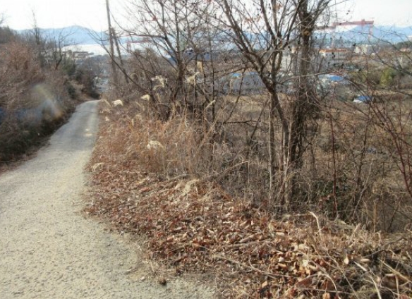 경상남도 거제시 연초면 한내리 산111-3 외 3필지 임야 경매 사진 9