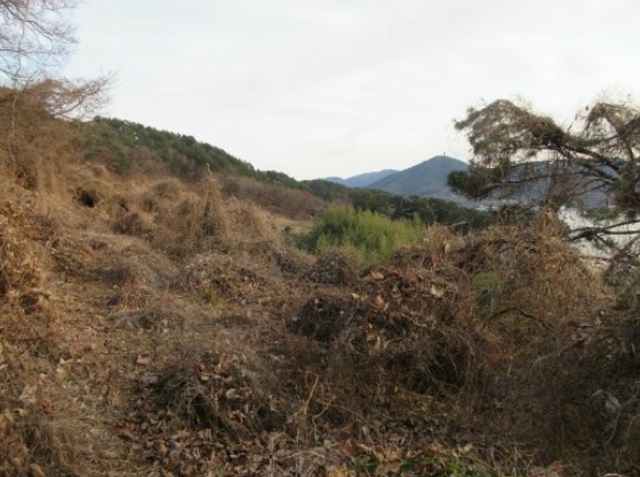 경상남도 거제시 사등면 창호리 2593-2 전 경매 사진 2
