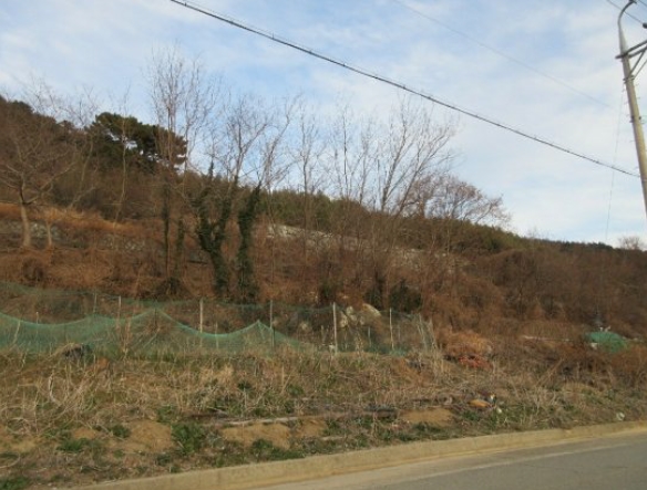 경상남도 거제시 사등면 창호리 2593-2 전 경매 사진 3