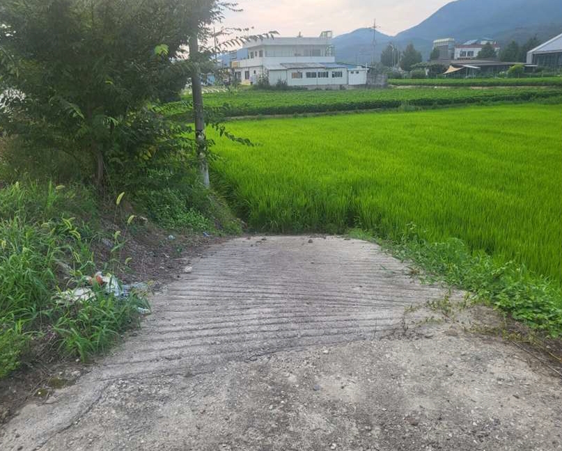 충청북도 충주시 앙성면 돈산리 127-23 답 경매 사진 4