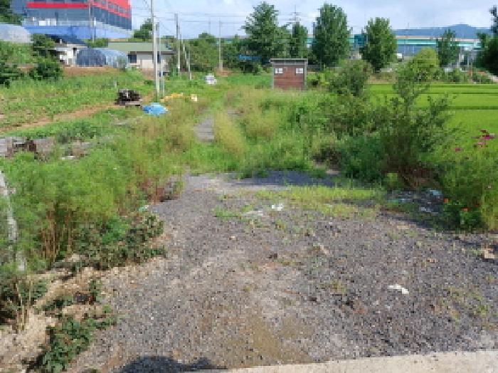 충청남도 서산시 음암면 탑곡리 202-2 외 1필지 전 경매 사진 1