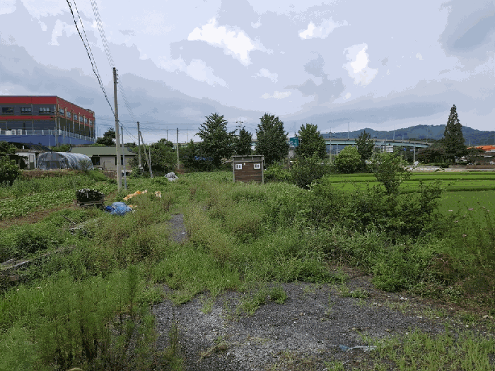충청남도 서산시 음암면 탑곡리 202-2 외 1필지 전 경매 사진 7