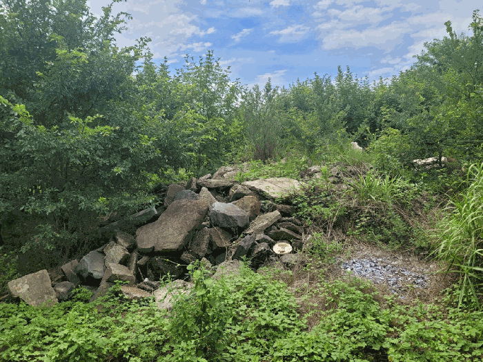 경상북도 영천시 금노동 565-2 외 4필지 답 경매 사진 15