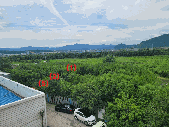 경상북도 영천시 금노동 565-2 외 4필지 답 경매 사진 17