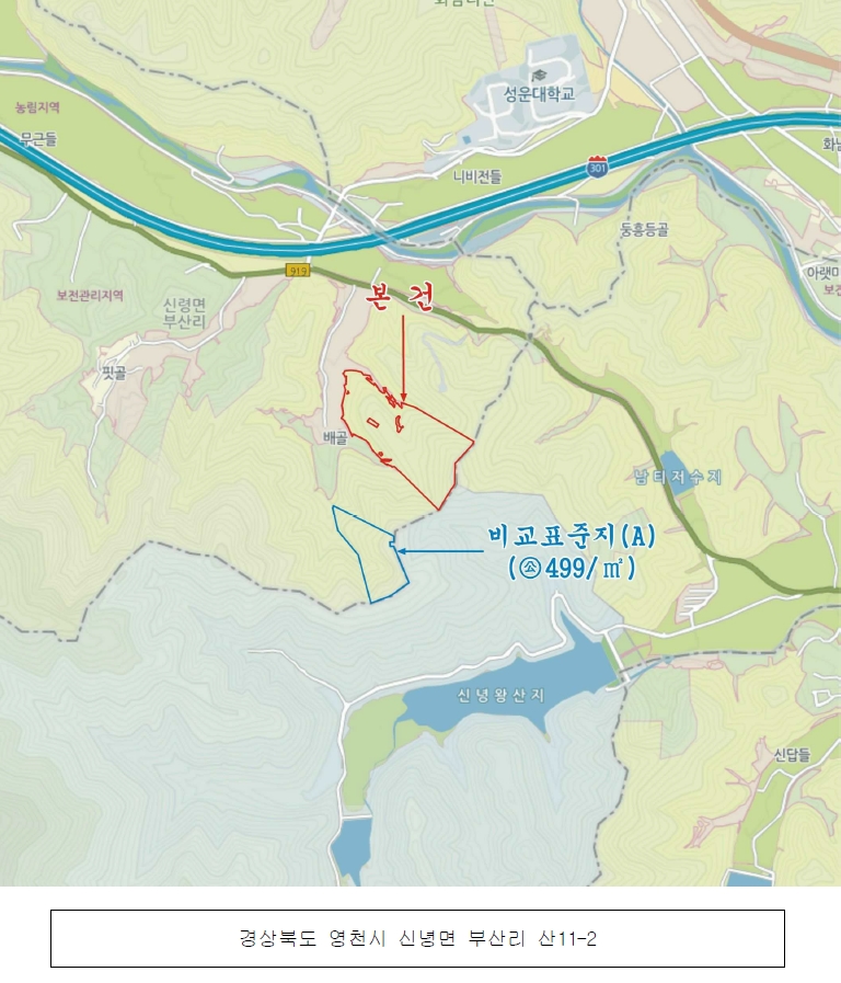 경상북도 영천시 신녕면 부산리 산11-2 임야 경매 사진 15