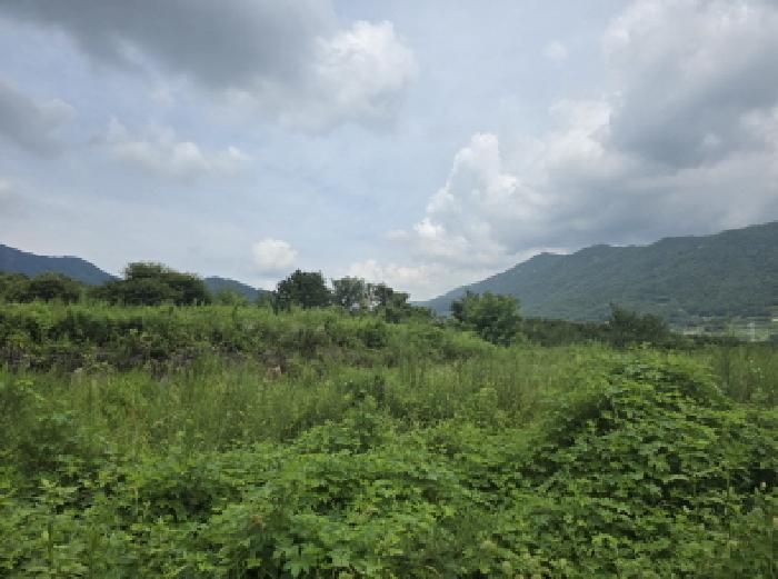 경상북도 경산시 와촌면 강학리 658-6 외 6필지 대지 경매 사진 2