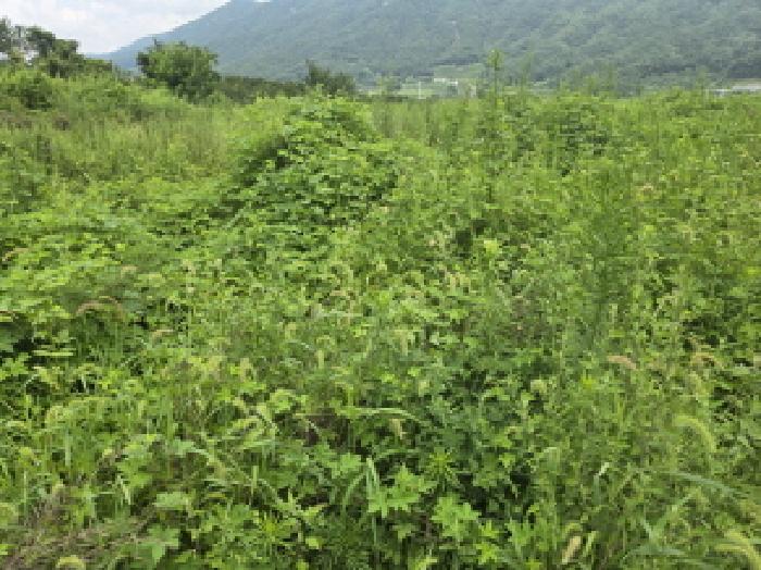경상북도 경산시 와촌면 강학리 658-6 외 6필지 대지 경매 사진 15