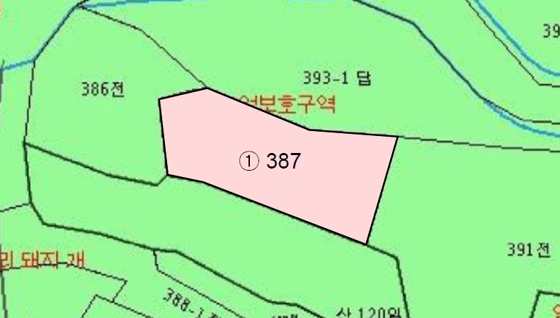 경상남도 밀양시 무안면 운정리 387 전 경매 사진 23