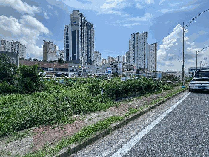 전라남도 무안군 삼향읍 남악리 2292 대지 경매 사진 13