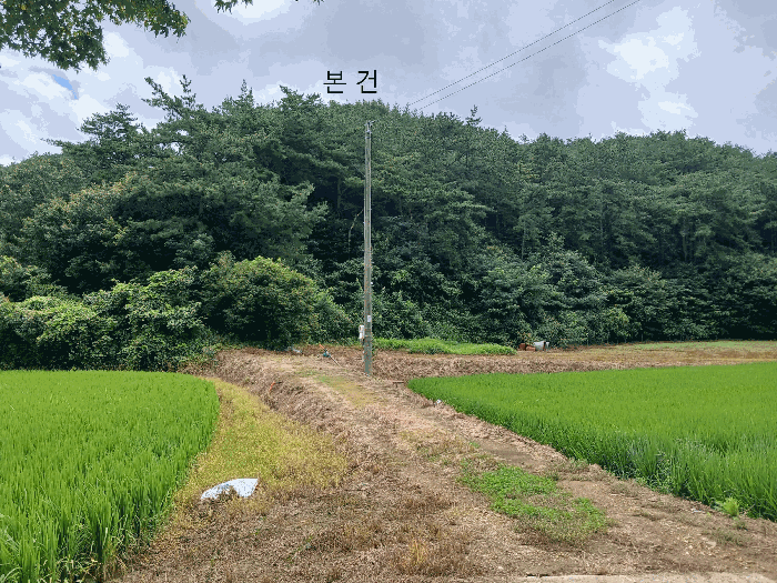 전라남도 함평군 신광면 삼덕리 산72 임야 경매 사진 11