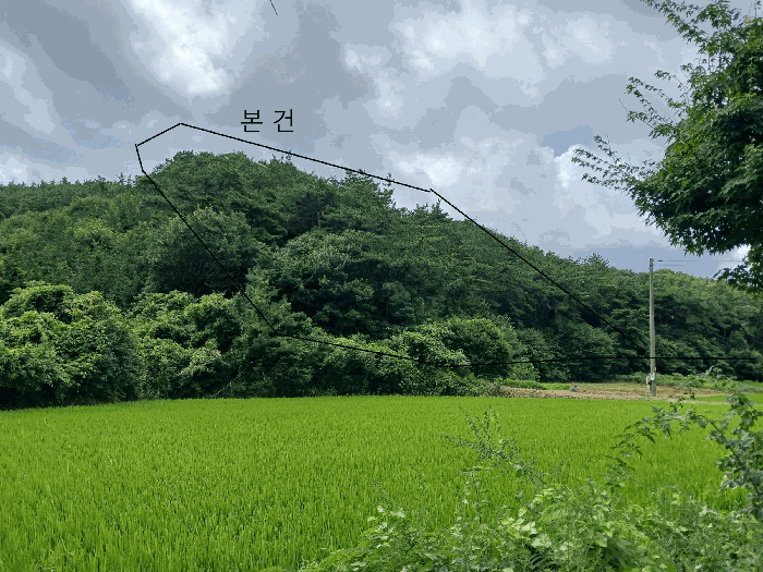 전라남도 함평군 신광면 삼덕리 산72 임야 경매 사진 12