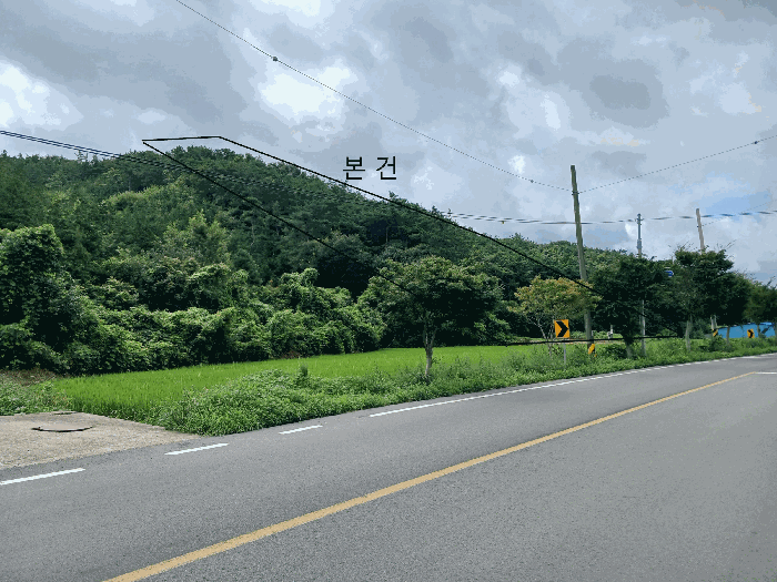 전라남도 함평군 신광면 삼덕리 산72 임야 경매 사진 13