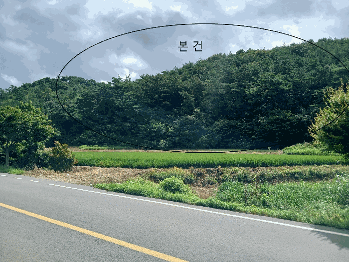 전라남도 함평군 신광면 삼덕리 산72 임야 경매 사진 14
