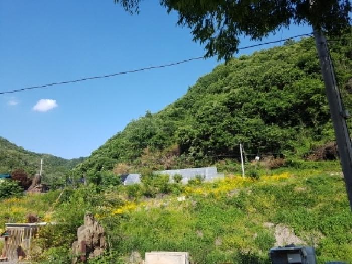 강원특별자치도 춘천시 남산면 수동리 산68 외 1필지 임야 경매 사진 1