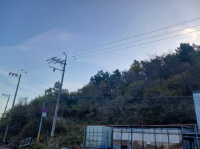 전북특별자치도 군산시 옥도면 선유도리 산37 임야 경매 사진 40