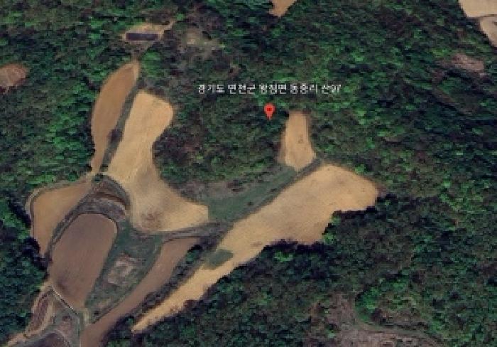 경기도 연천군 왕징면 동중리 산97 외 3필지 임야 경매 사진 8
