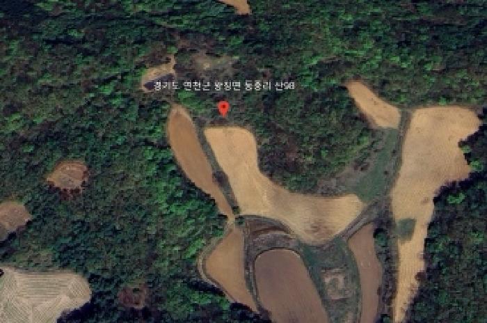 경기도 연천군 왕징면 동중리 산97 외 3필지 임야 경매 사진 10