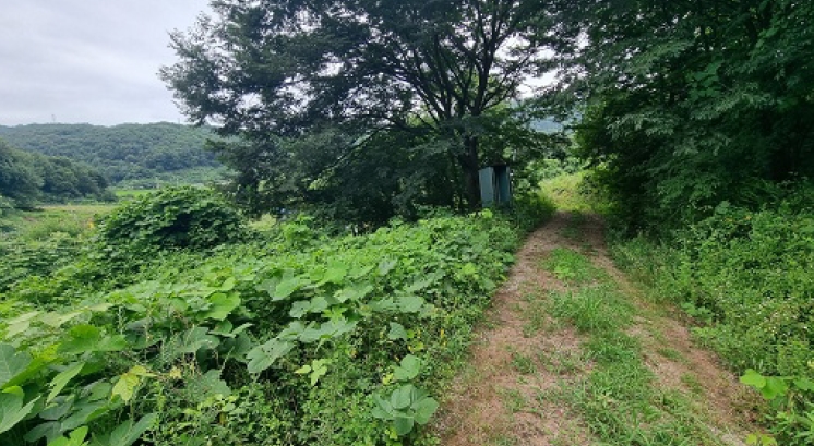 충청북도 청주시 상당구 낭성면 갈산리 80 전 경매 사진 1