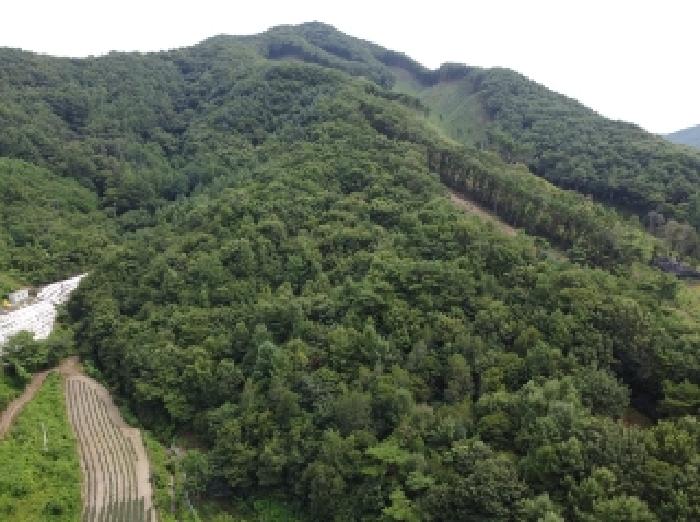 충청북도 청주시 상당구 낭성면 갈산리 80 전 경매 사진 4