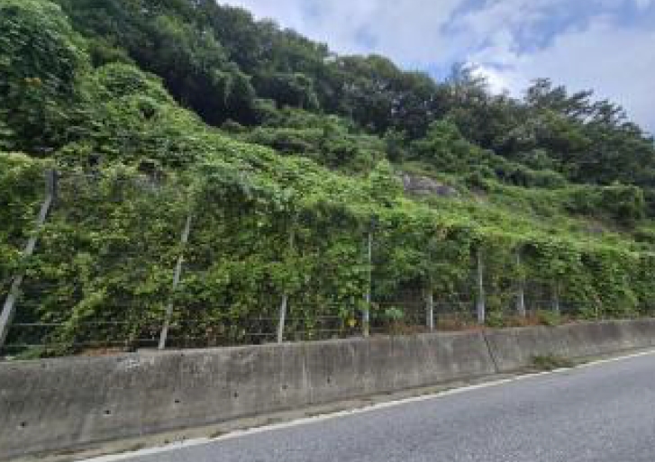 충청북도 제천시 자작동 산18-1 외 5필지 임야 경매 사진 1