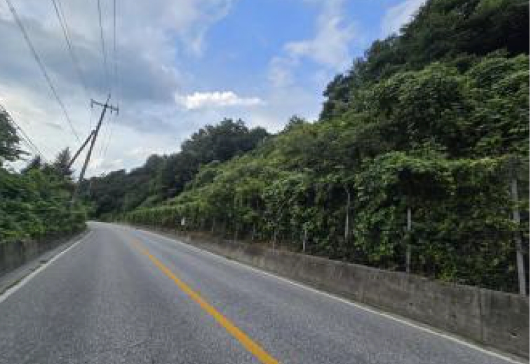 충청북도 제천시 자작동 산18-1 외 5필지 임야 경매 사진 2