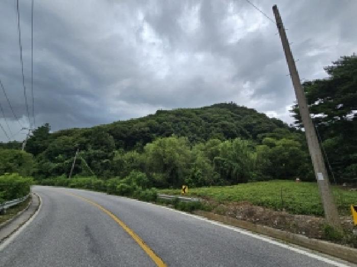 충청북도 제천시 자작동 산18-1 외 5필지 임야 경매 사진 12