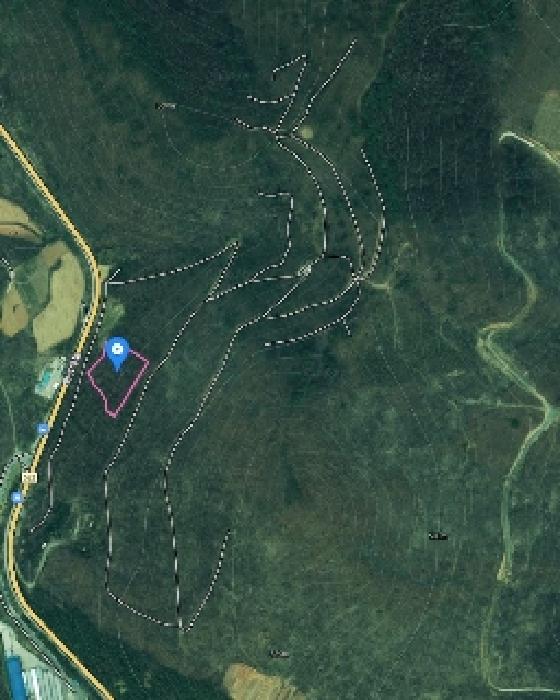 충청북도 제천시 자작동 산18-1 외 5필지 임야 경매 사진 35