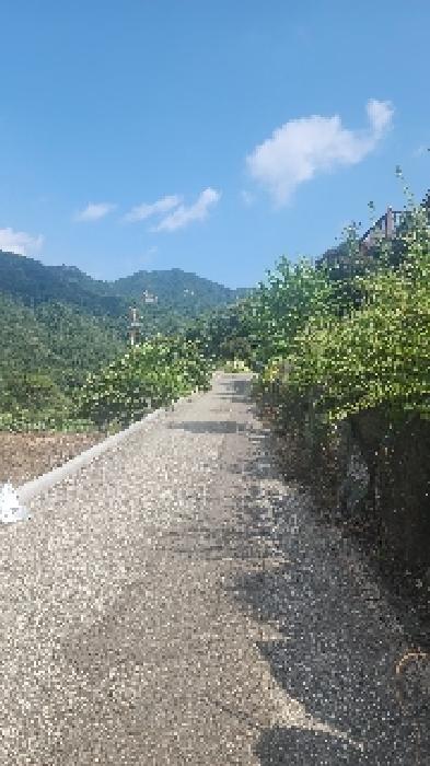 충청북도 옥천군 군서면 금산리 242-23 외 1필지 단독주택 경매 사진 5