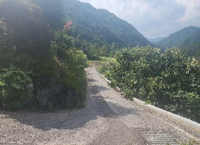 충청북도 옥천군 군서면 금산리 242-23 외 1필지 단독주택 경매 사진 6