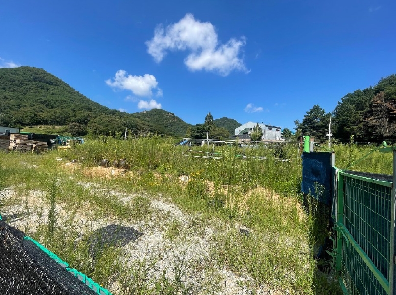 충청남도 금산군 금산읍 양지리 246-1 외 1필지 답 경매 사진 1
