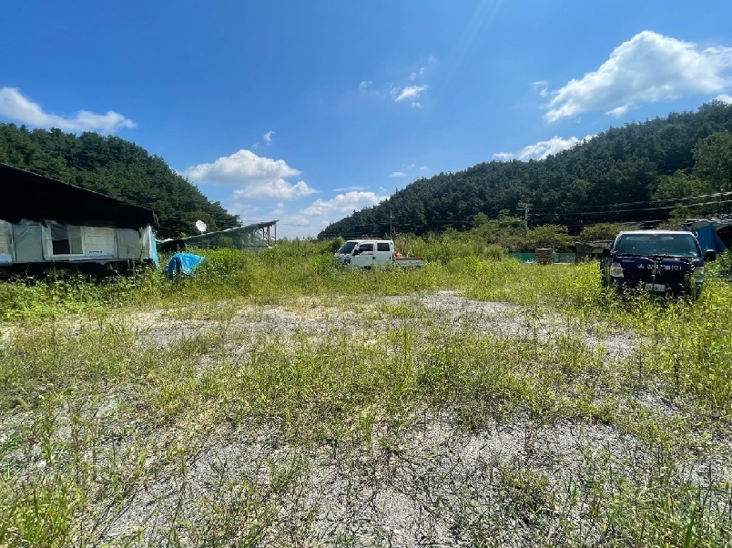 충청남도 금산군 금산읍 양지리 246-1 외 1필지 답 경매 사진 2