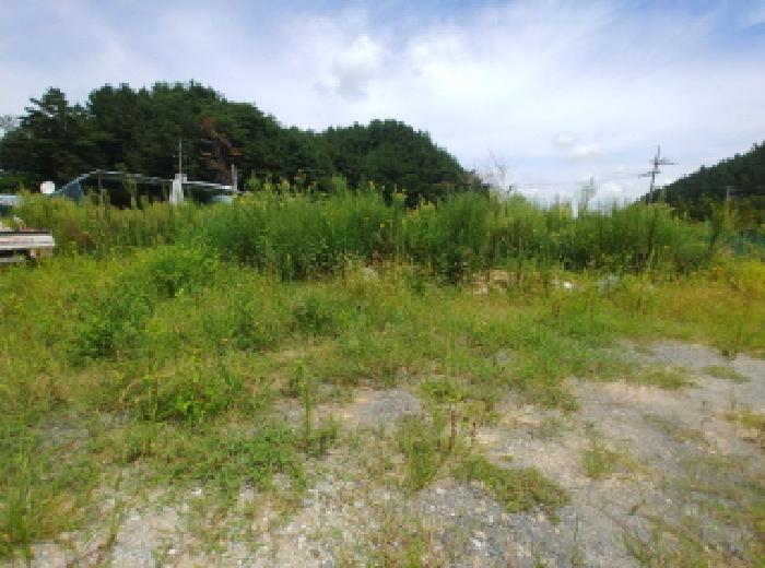 충청남도 금산군 금산읍 양지리 246-1 외 1필지 답 경매 사진 15