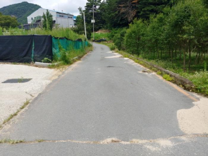 충청남도 금산군 금산읍 양지리 246-1 외 1필지 답 경매 사진 20