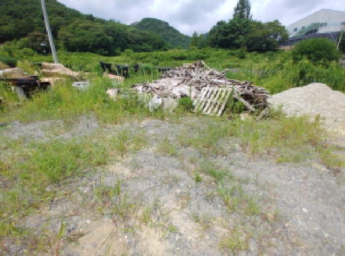 충청남도 금산군 금산읍 양지리 246-1 외 1필지 답 경매 사진 22