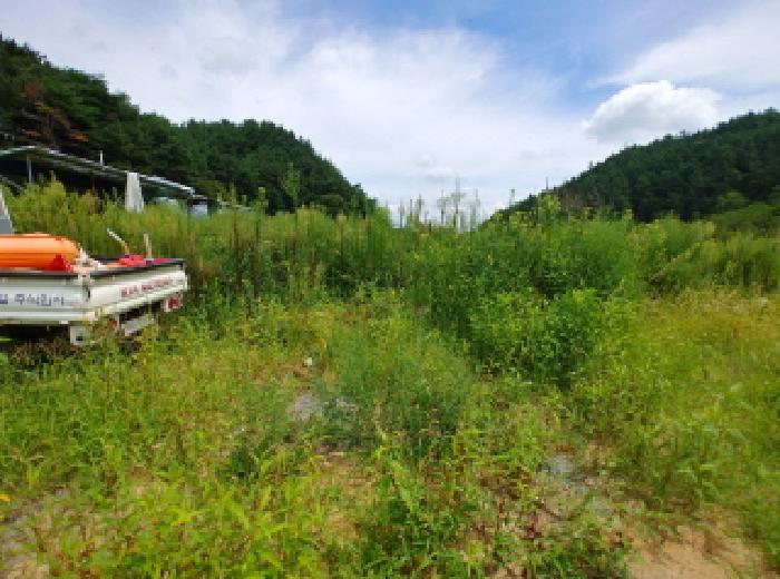 충청남도 금산군 금산읍 양지리 246-1 외 1필지 답 경매 사진 34